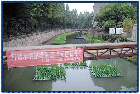 杭州2015年水質(zhì)監(jiān)測