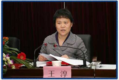 嘉興市政協(xié)副主席王淳 嘉興市政協(xié)副主席王淳