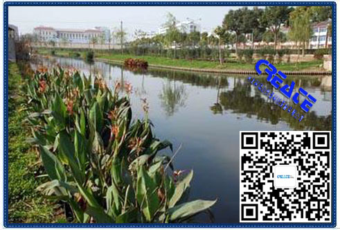 青島農村水質監測