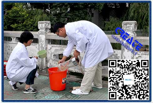 河道水質(zhì)監(jiān)測(cè)