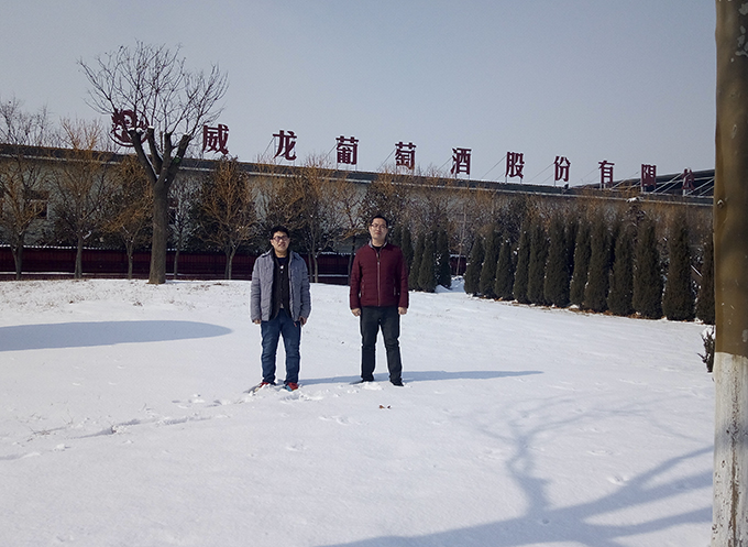 威龍葡萄酒股份有限公司