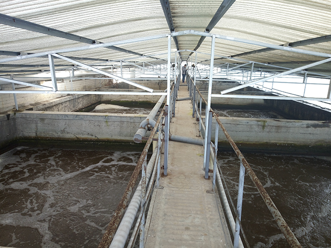 威龍葡萄酒股份有限公司